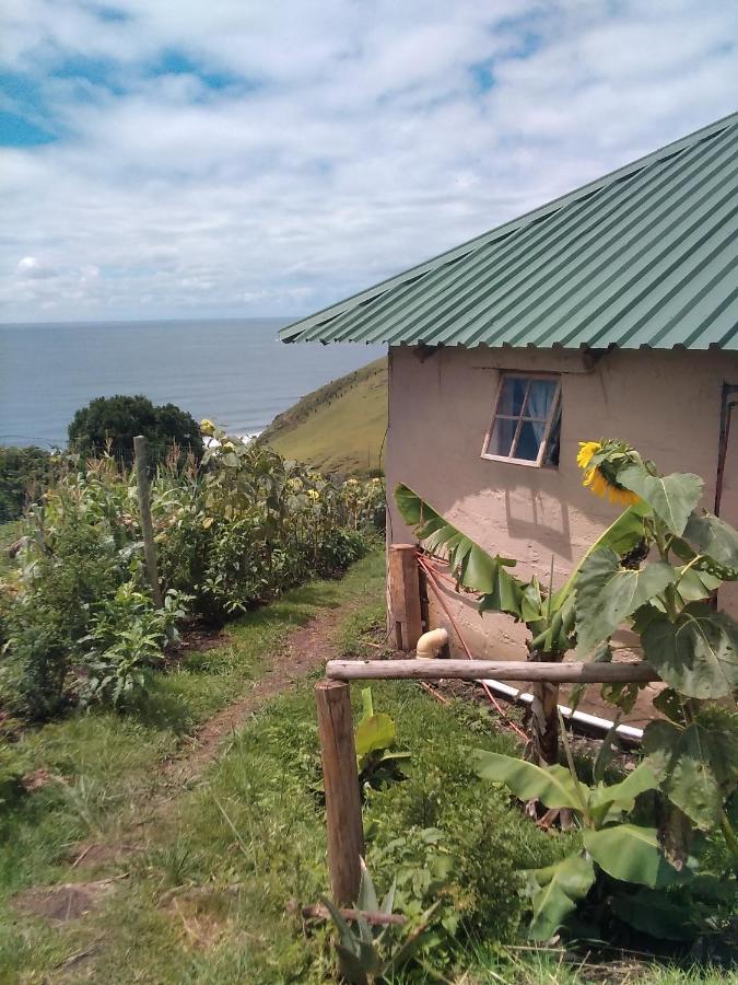Wildview Self Catering Cottages Coffee Bay, Breakfast & Wi-Fi Inc Exterior photo